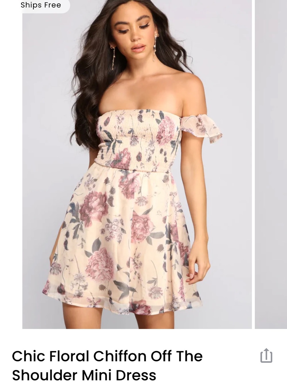 Chic Floral Windsor Chiffon Off The Shoulder Mini Dress nwt